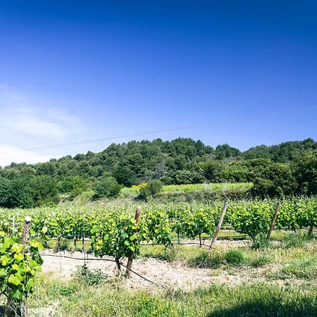 Domaine Des Peyre * Robion en Luberon
