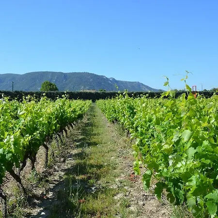 Domaine Des Peyre